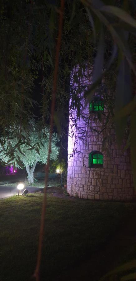 Le - Nouvelle équipe - Groupe Logis Fleurance